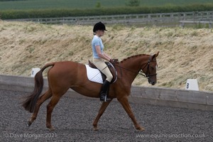 ISIS Dressage Challenge 2008